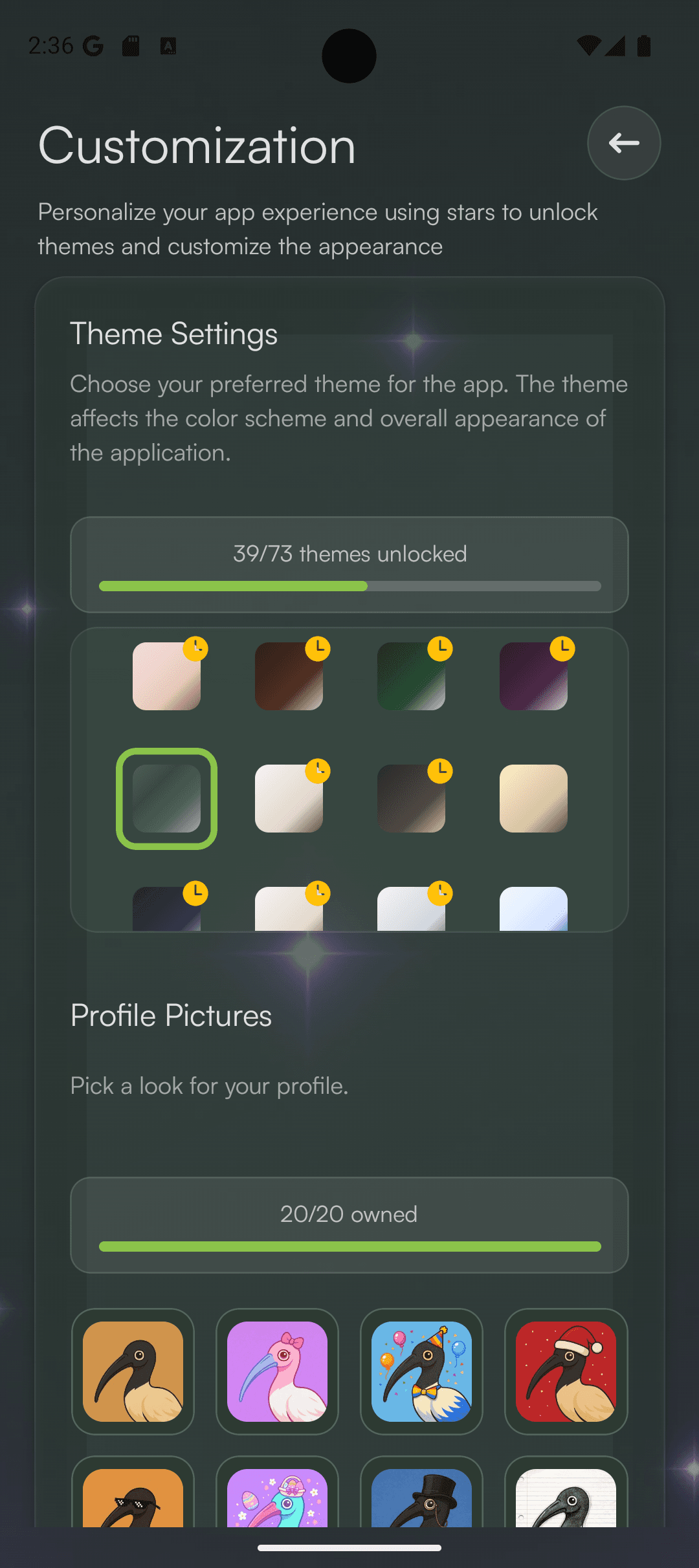 Customization settings for themes and profile looks